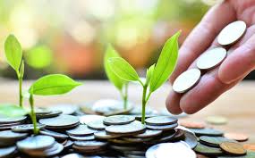 Conceptos Básicos Que Todo Principiante Debe Conocer Sobre Inversiones