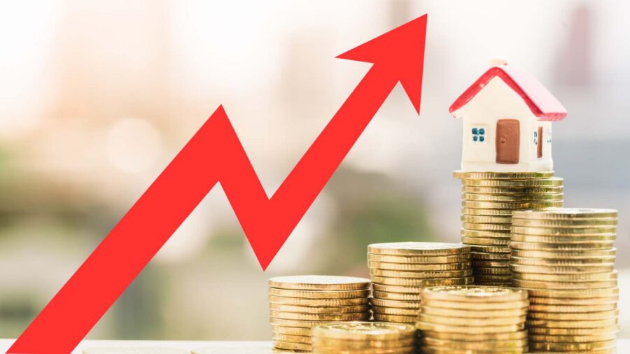 Conceptos básicos que debes conocer antes de comenzar a invertir